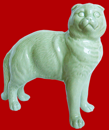 Вислоухая кошка селадон
